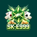 SK E999 Game